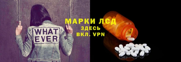 спиды Ельня