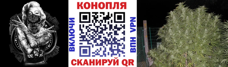 Шишки марихуана ГИДРОПОН Янаул